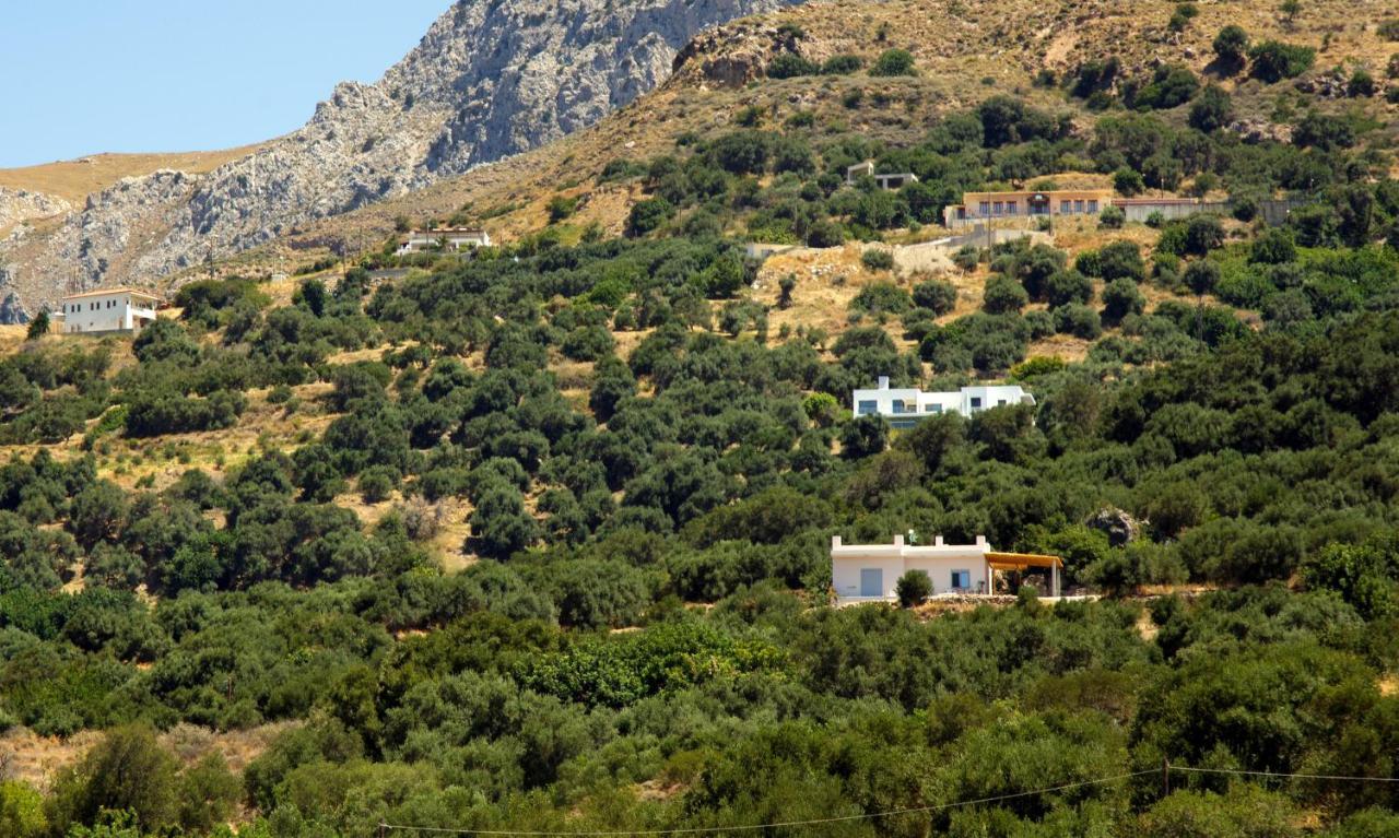 Almond Cottage With A Sea View Above Plakias Exteriör bild